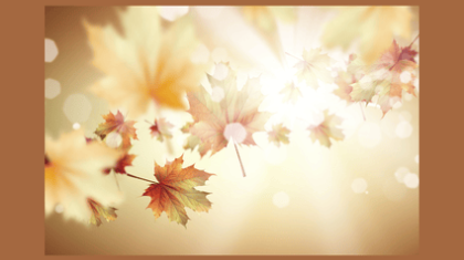 Fall leaves in bokeh streams of sunlight