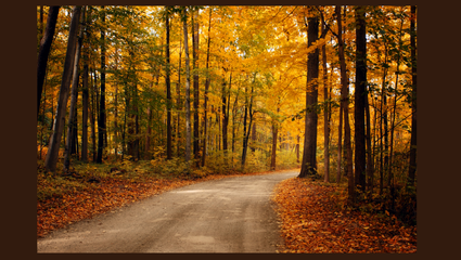 a fall scene and a country road